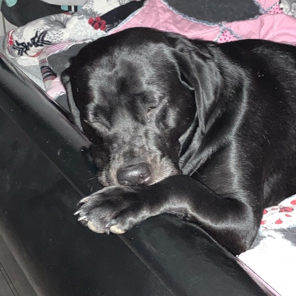 Meet your Posher, Nate - Picture 1 of 1